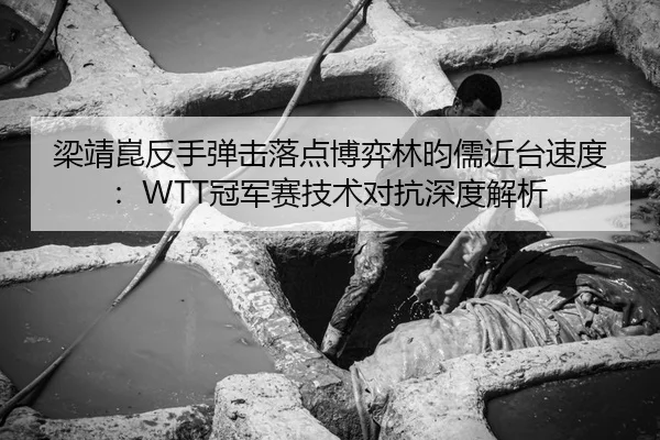 梁靖崑反手弹击落点博弈林昀儒近台速度：WTT冠军赛技术对抗深度解析