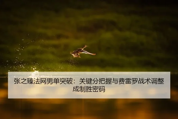 张之臻法网男单突破：关键分把握与费雷罗战术调整成制胜密码